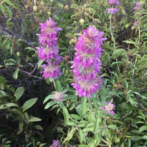 Meet your Posher, Gail